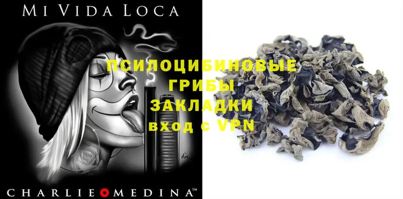 MEGA ONION  купить наркоту  Тимашёвск  Галлюциногенные грибы MAGIC MUSHROOMS 